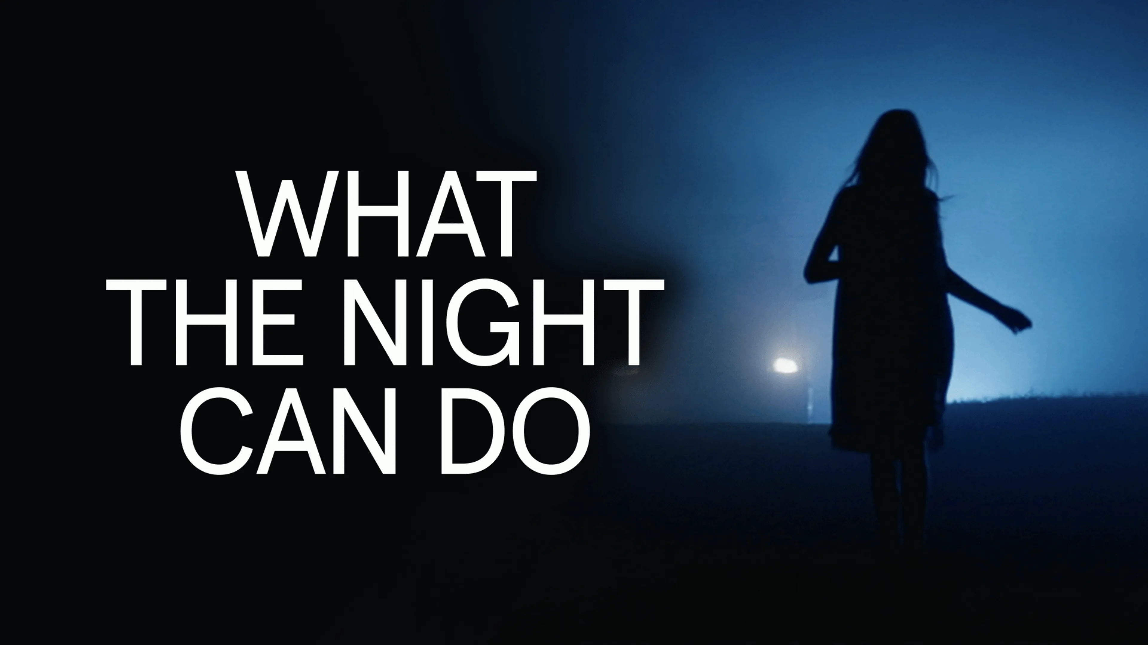 What the Night Can Do poster